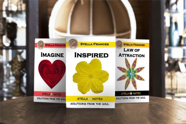 bundle---law-of-attraction-imagine-inspired-stella-notes-books