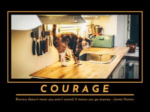 courage-inspirational-pet-poster