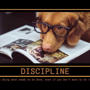 discipline-inspirational-pet-poster