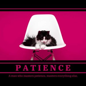patience-inspirational-pet-poster