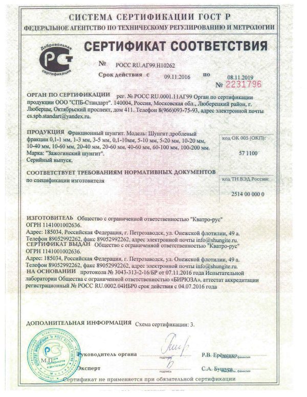 shungite-pendant-certificate-zagozhinsky